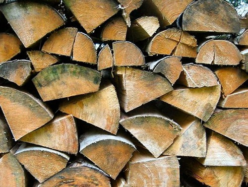 „Scutul Pădurii”, activat în Timiș pentru a combate comerțul ilegal cu lemn