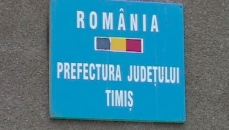 prefectura timis