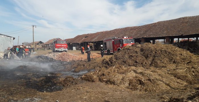 Incendiu la o fermă din Sântana