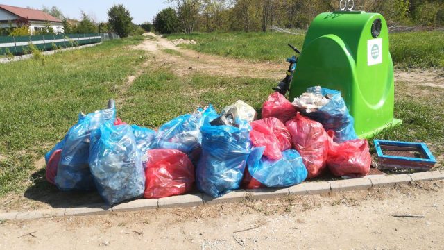 Sute de saci de gunoaie au fost strânse în Dumbrăvița curată