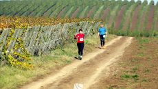 Trail Run Petrovaselo