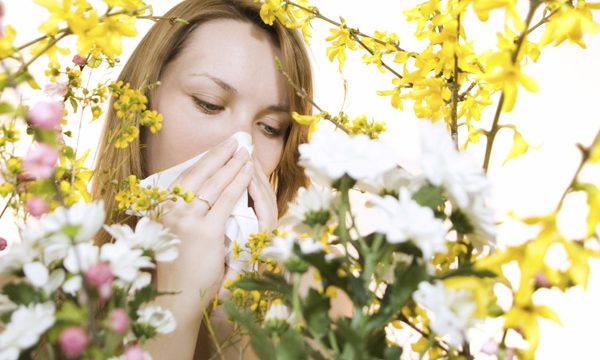 Alergii la polen