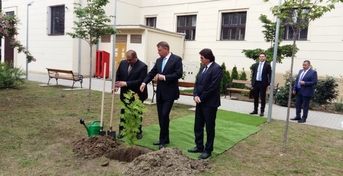 Președintele Iohannis a plantat un arțar la CD Loga