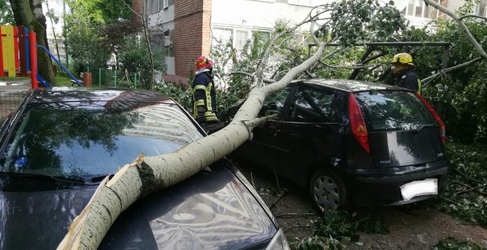 Mașini distruse de arborii căzuți în urma furtunii, la Timișoara