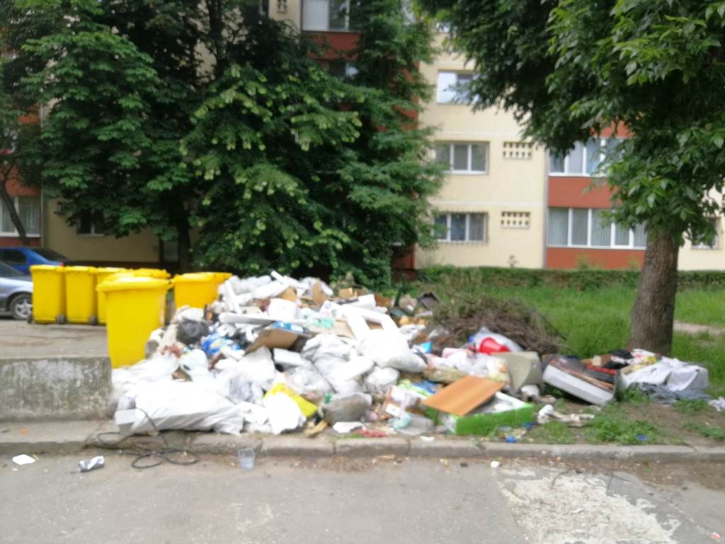 Gunoi abandonat pe străzi în Timișoara
