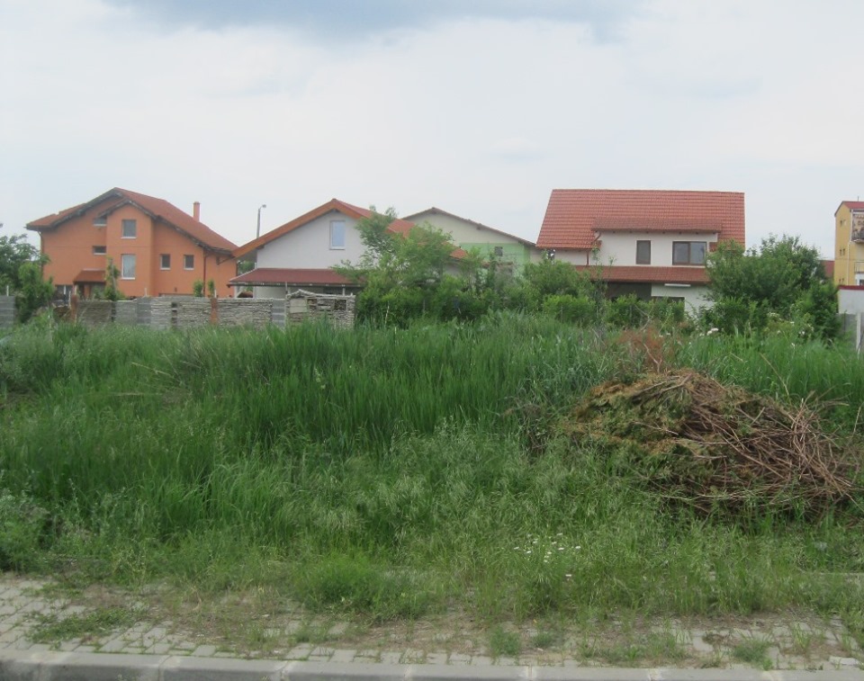 Amenzi de peste 20.000 de lei pentru proprietari de terenuri din Timișoara: nu au cosit buruienile