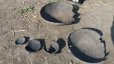 Descoperiri arheologice făcute pe traseul Centurii de Sud Timișoara