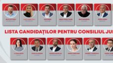 candidati PSD CJ Timis
