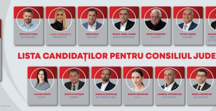candidati PSD CJ Timis
