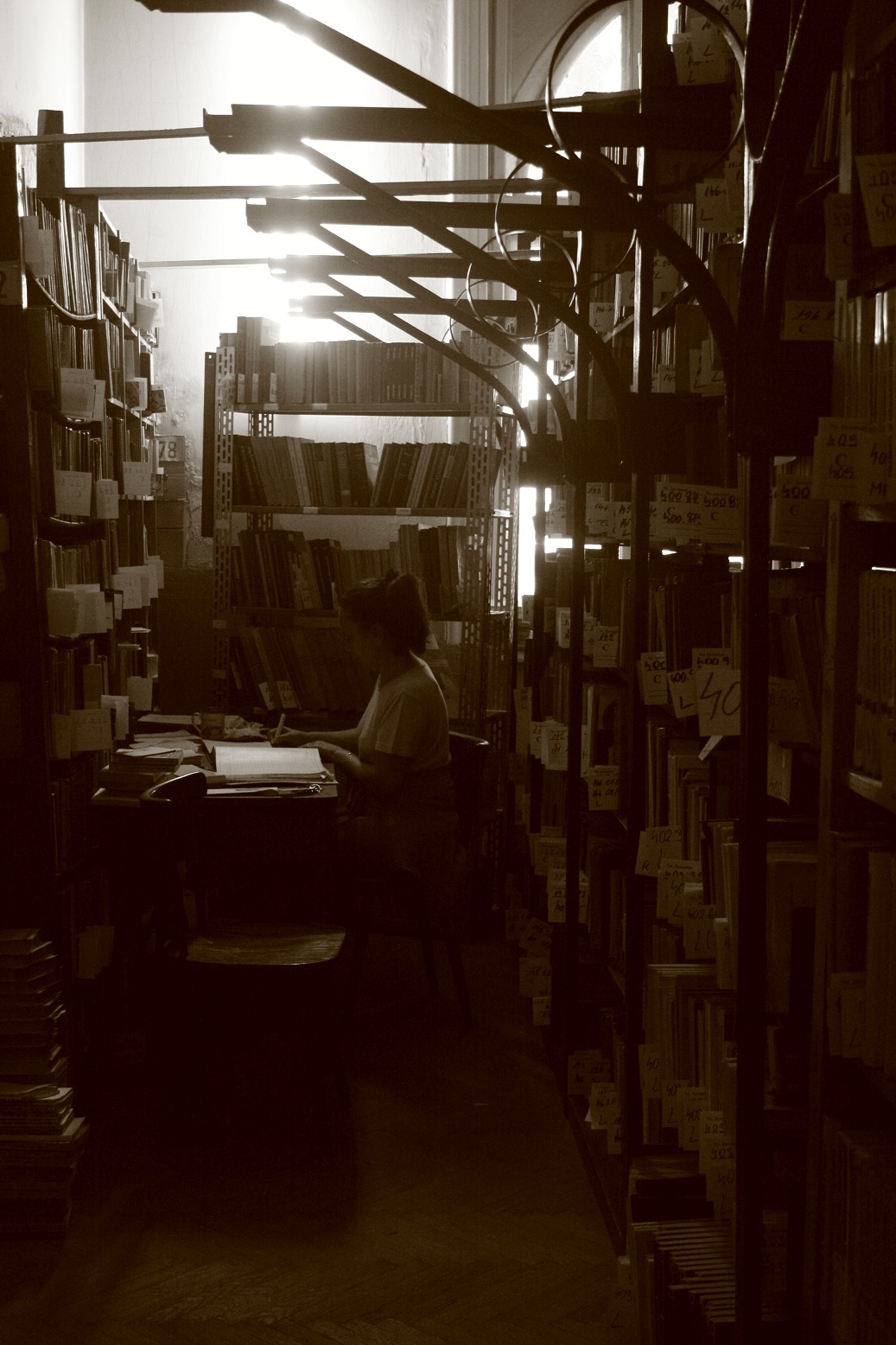 wool sent Anoi Biblioteca UPT a ajuns la 100 de ani de activitate/FOTO